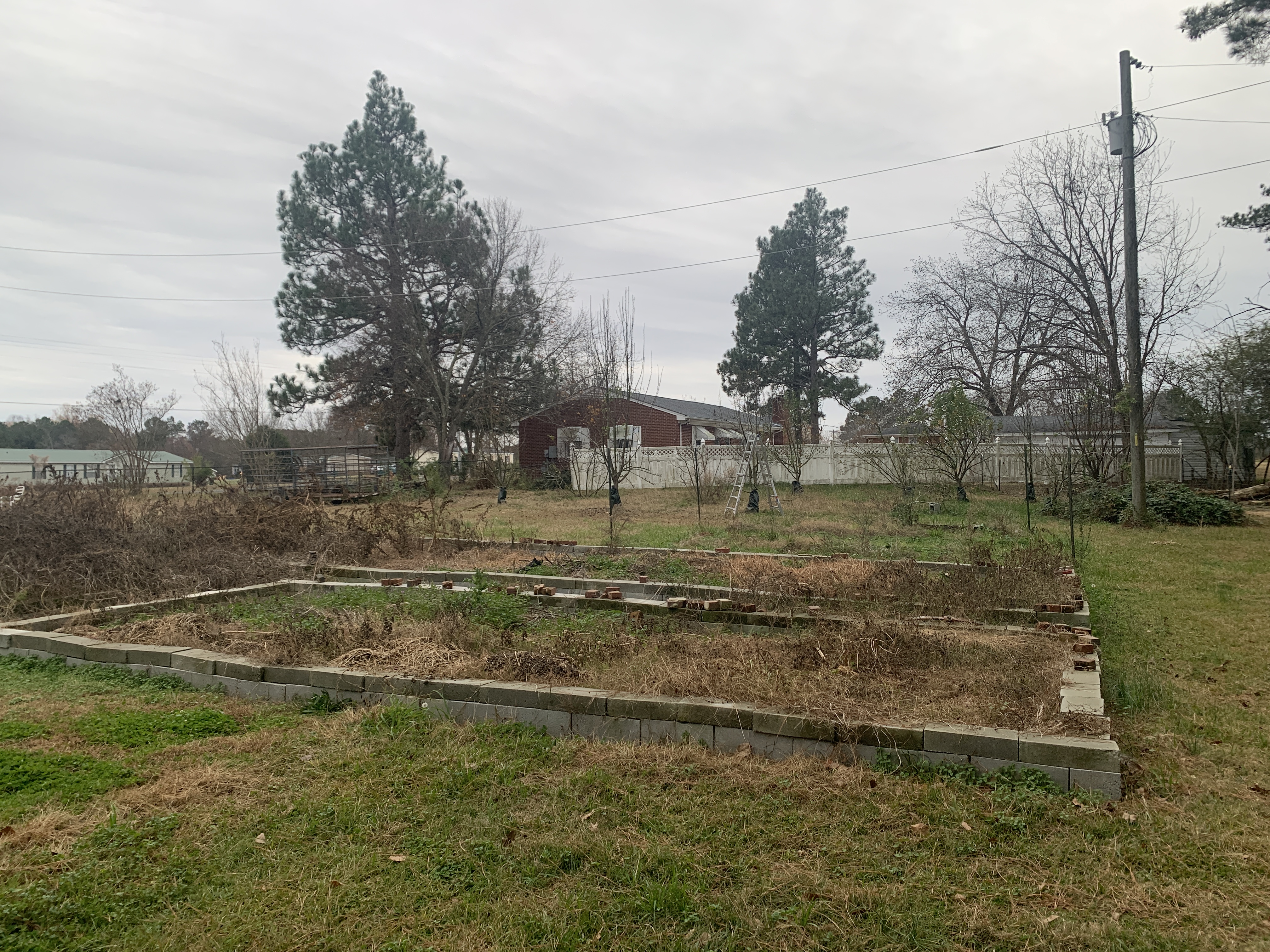 Farm Update